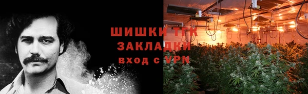 ГАЛЛЮЦИНОГЕННЫЕ ГРИБЫ Надым