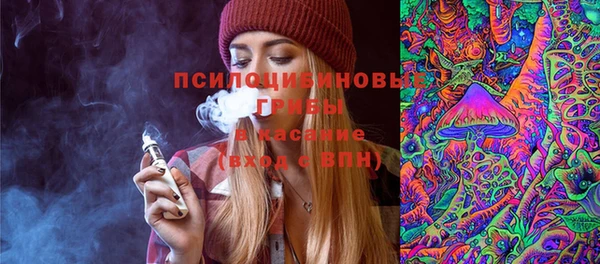 ГАЛЛЮЦИНОГЕННЫЕ ГРИБЫ Надым