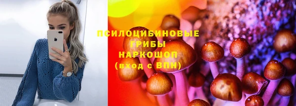 ГАЛЛЮЦИНОГЕННЫЕ ГРИБЫ Надым