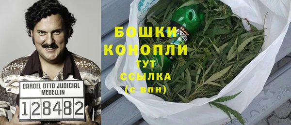 ГАЛЛЮЦИНОГЕННЫЕ ГРИБЫ Надым