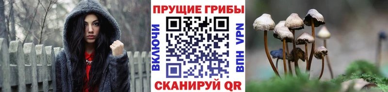 Псилоцибиновые грибы Magic Shrooms Куса